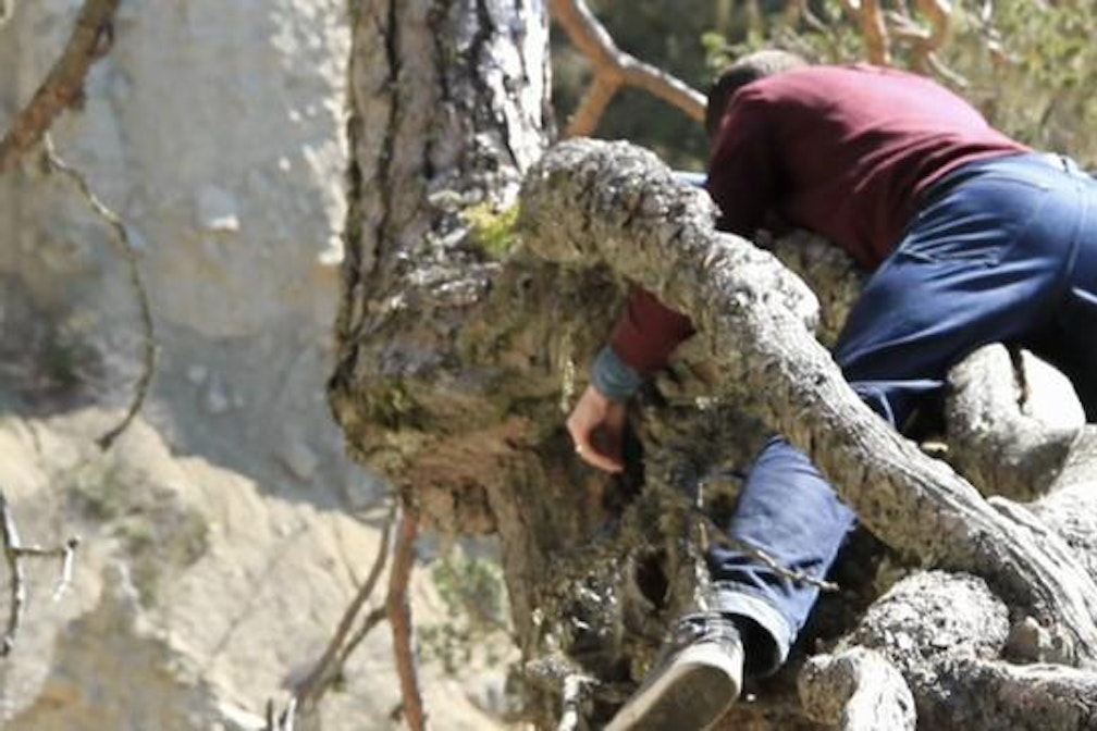 Film a Km0. I premiati. Secondo posto a “Will you still love me tomorrow?” di Matteo Maffesanti