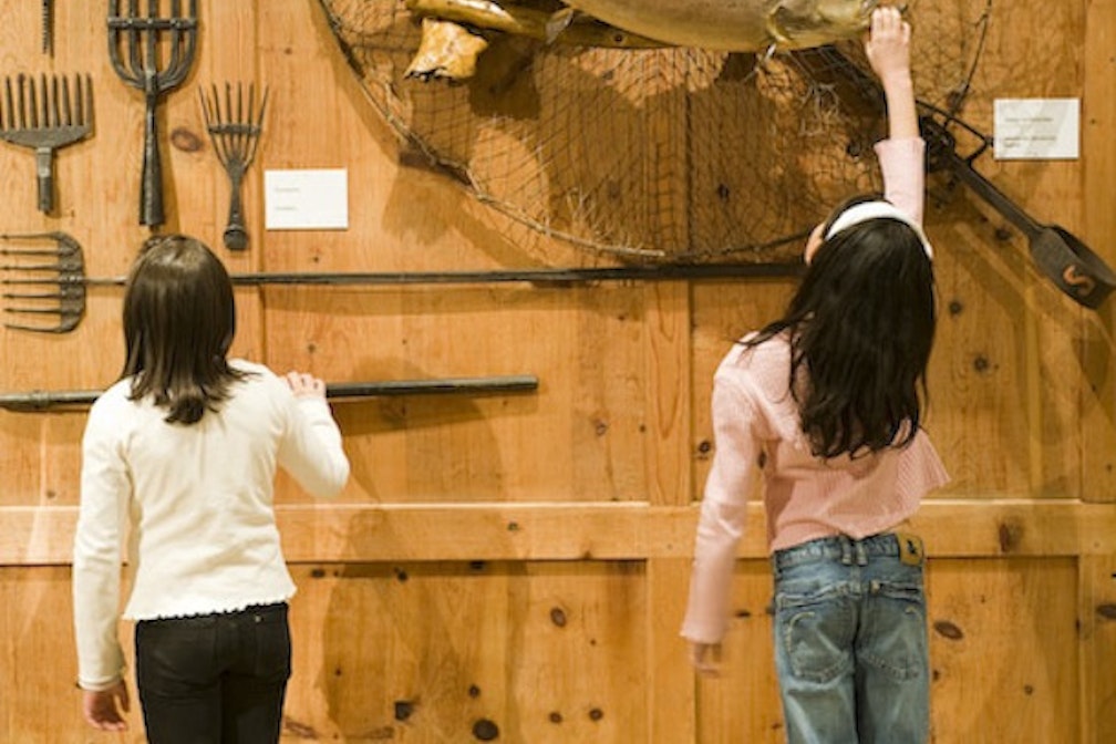 Museo della caccia e della pesca, pezzi della nostra cultura materiale