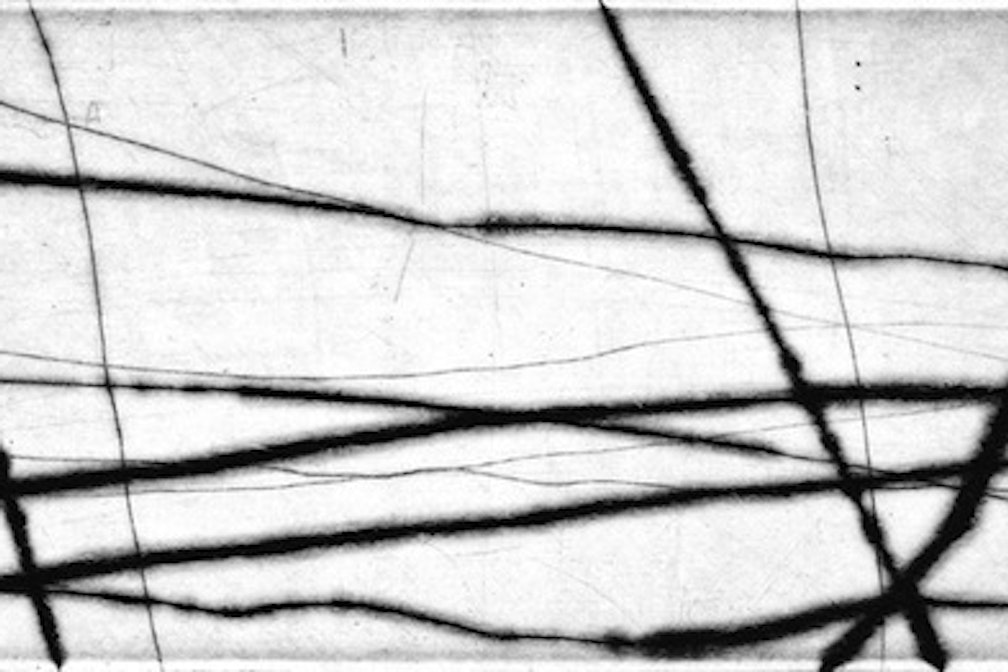 Lili Cristofolini: arte e natura in “relazione”