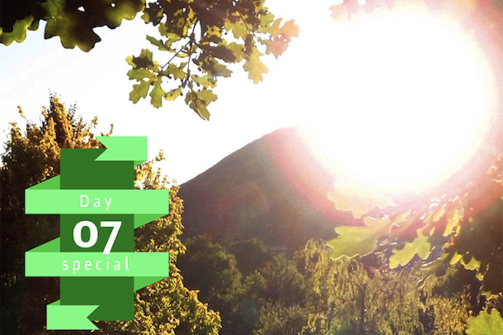 NatureCulture Special #07:  Reclaim the streets