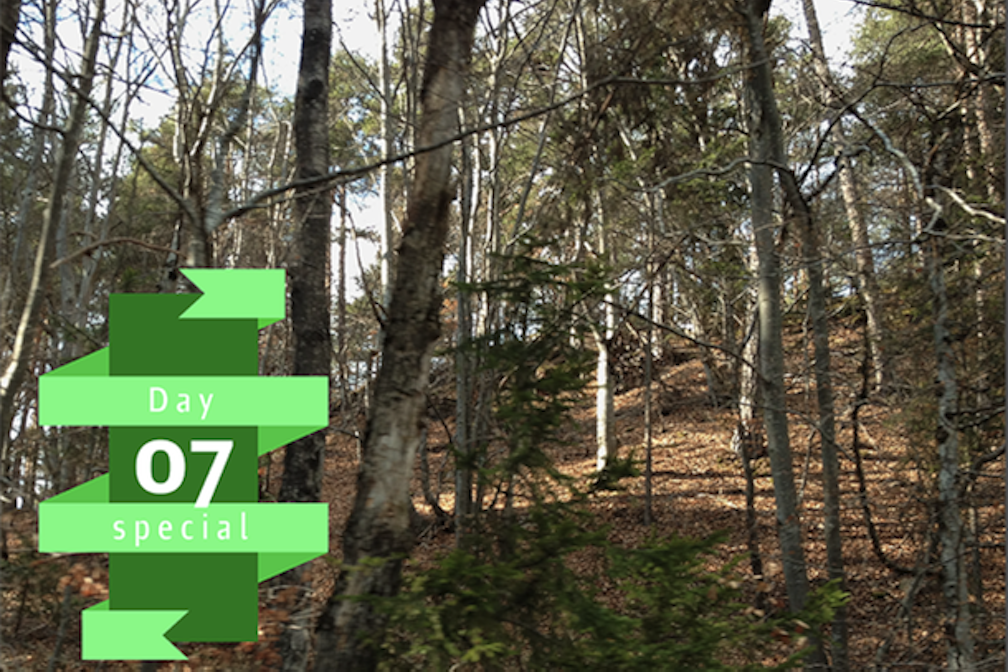 NatureCulture Special #07