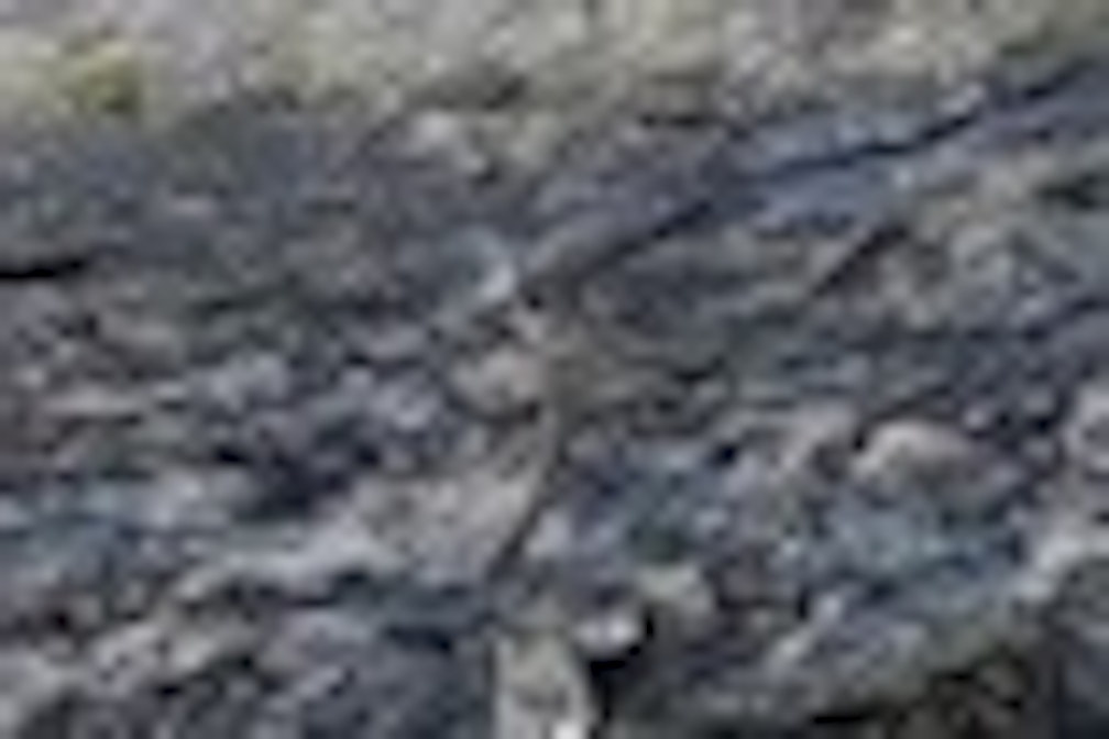 Bunker 14: Statement von Waltraud Kofler Engl