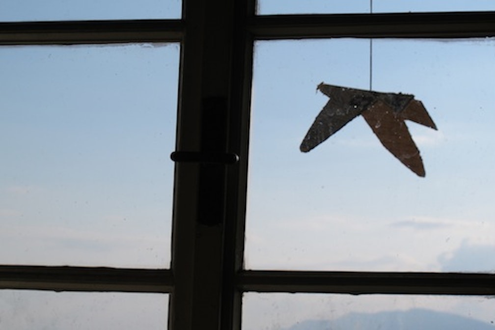 n.c.kaser #01: hoi wos tiatasen