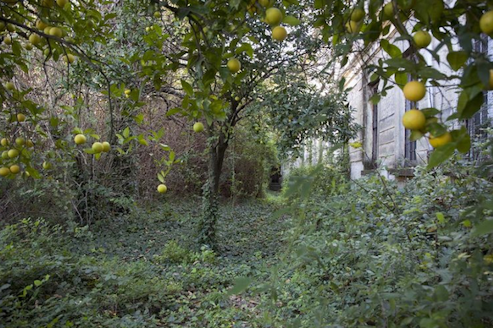 Wir fragen das Leben. KUNST kann uns bei den Antworten helfen