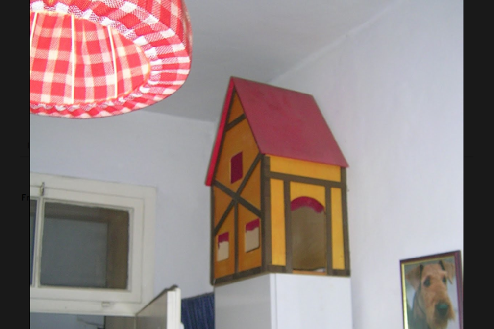 Dal censimento, le rilevazioni del rilevatore Thomas Grandi