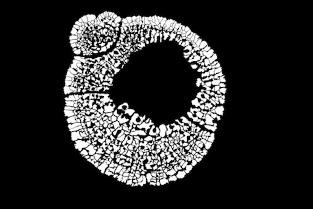 Art Innsbruck – Messe für zeitgenössische Kunst