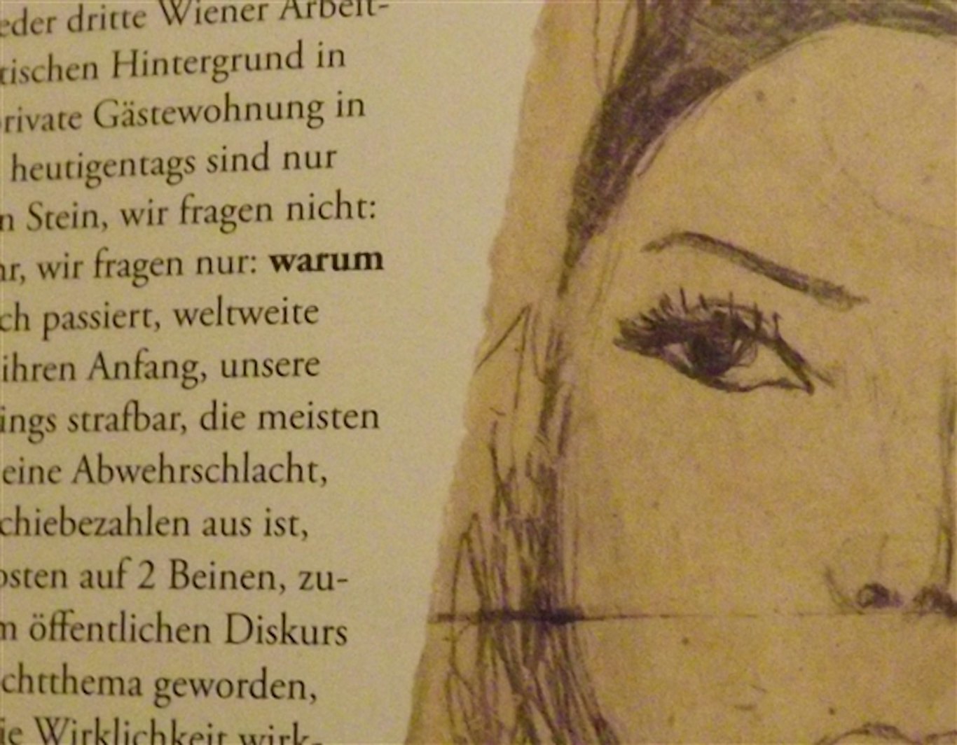 Immergrün – Calendarium/Sudarium, Folio, 2011. 96 Seiten