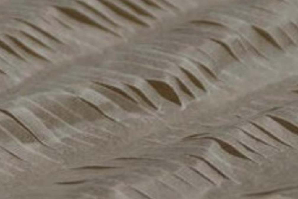 Eurac ECO Library: connessioni di carta