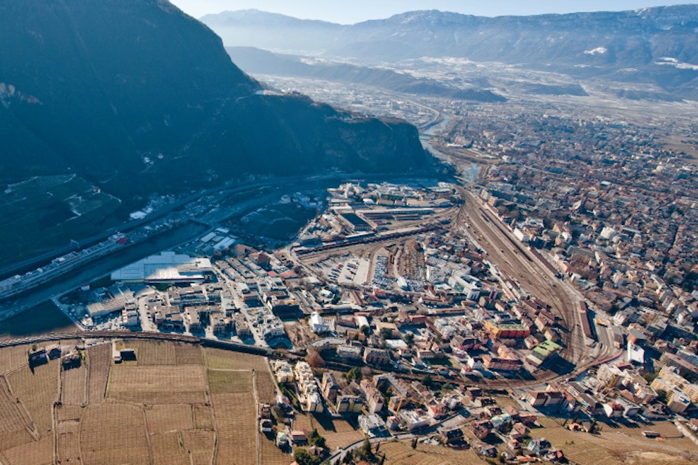 Arbo ha vinto il migliore. Non perdete la mostra