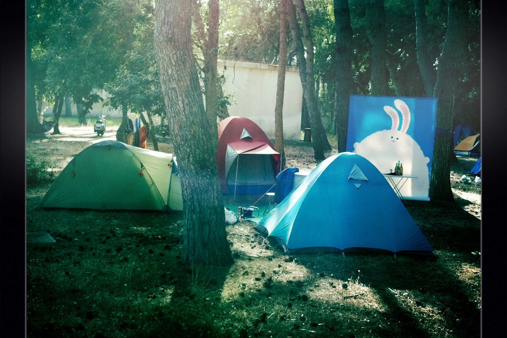 Little white bunny camping