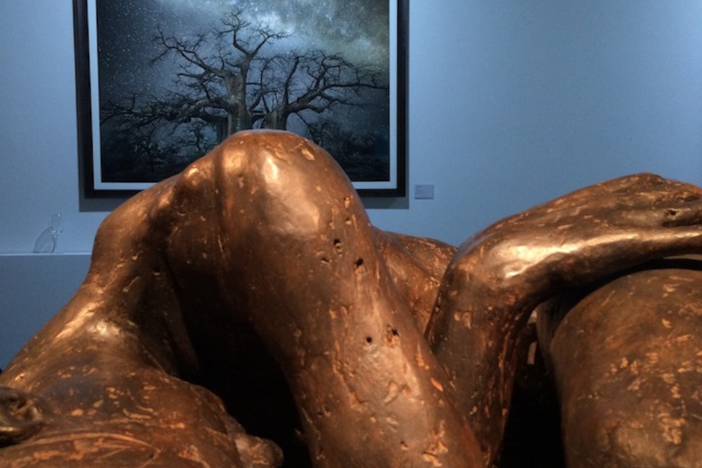 Beth Moon + Lois Anvidalfarei Zott Artspace Dolomites