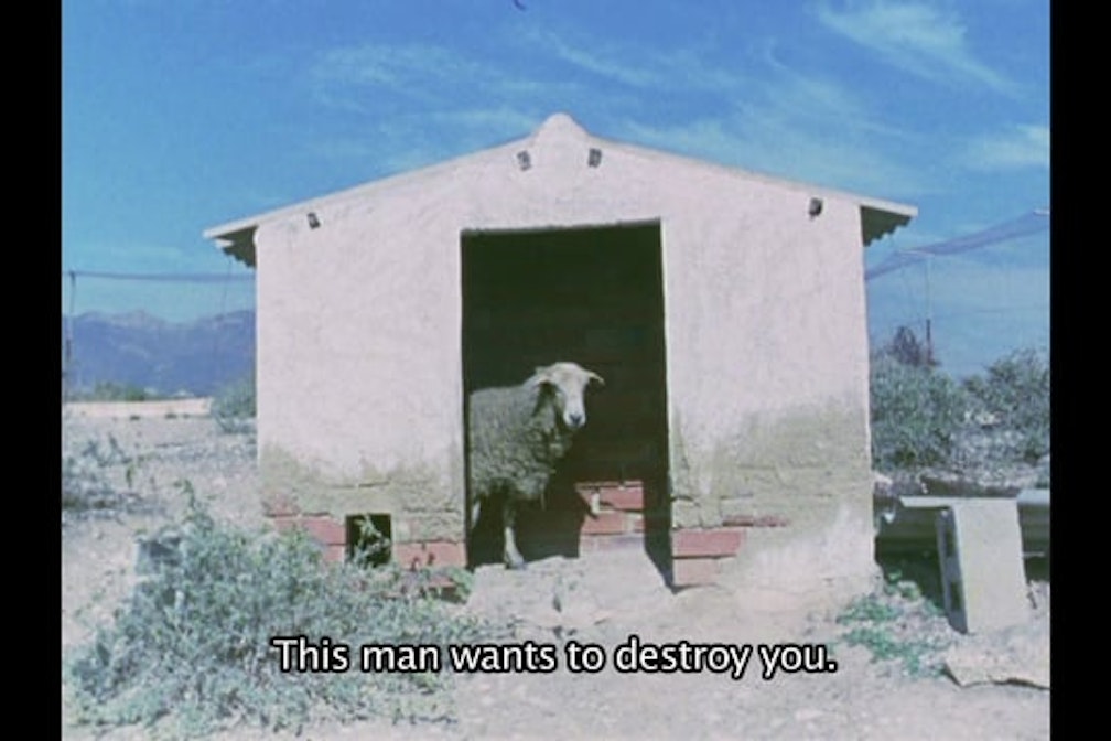 HomeGrown Reviews: Sueñan los androides – Androids Dream