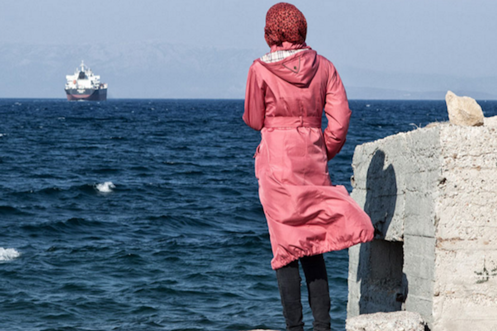 Der Zaun - Dietmar Telser Benjamin Stoess Thorsten Schneiders