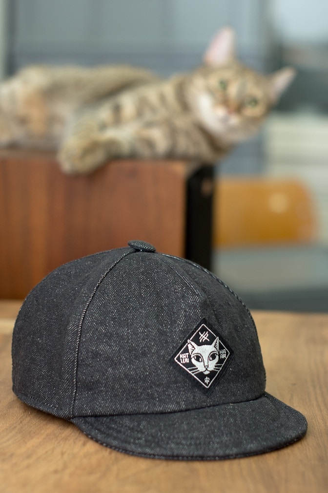 Katzenhaar