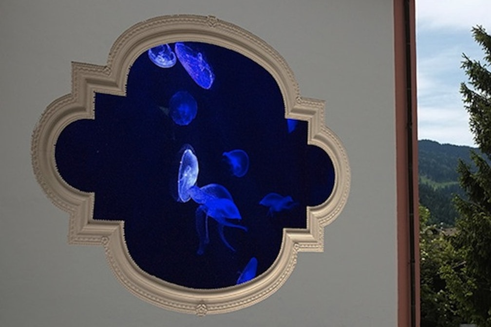 Giancarlo Lamonaca Alpbach InEquality 2015