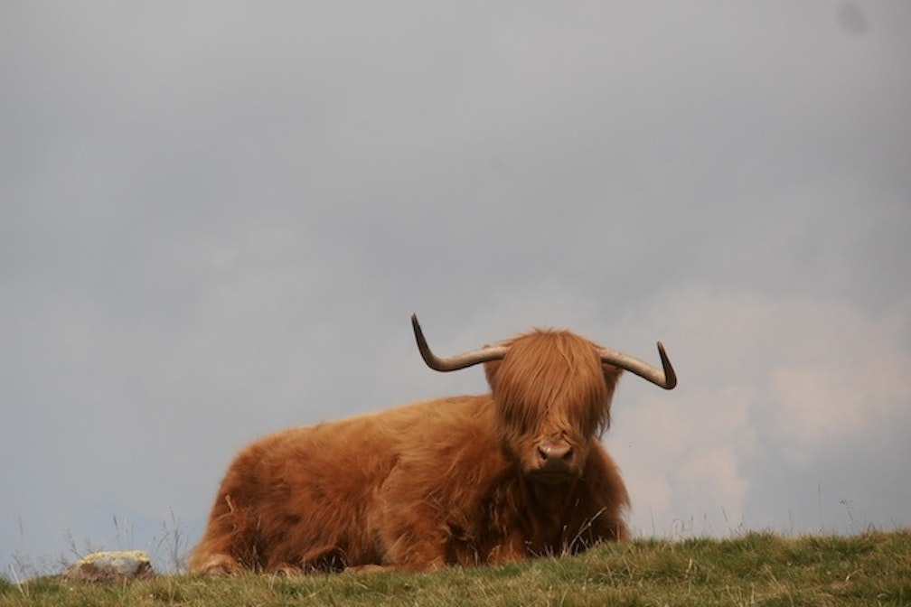 Mountainsoul Anna Luther Stoanerne Mandln