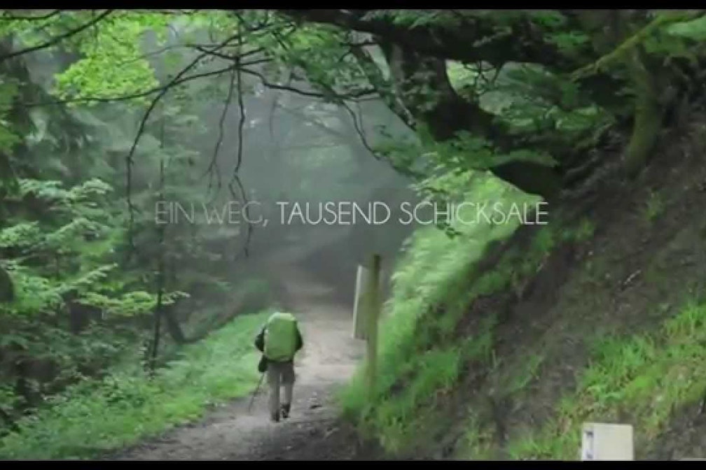 HomeGrown Reviews: Camino de Santiago