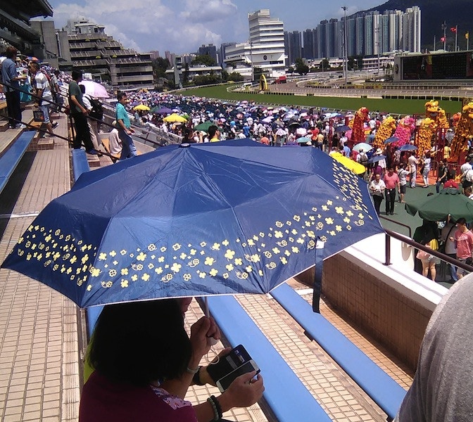 Umbrella in Hong Kong