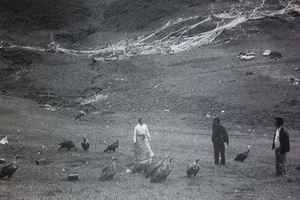 LE RAPPEL DES OISEAUX