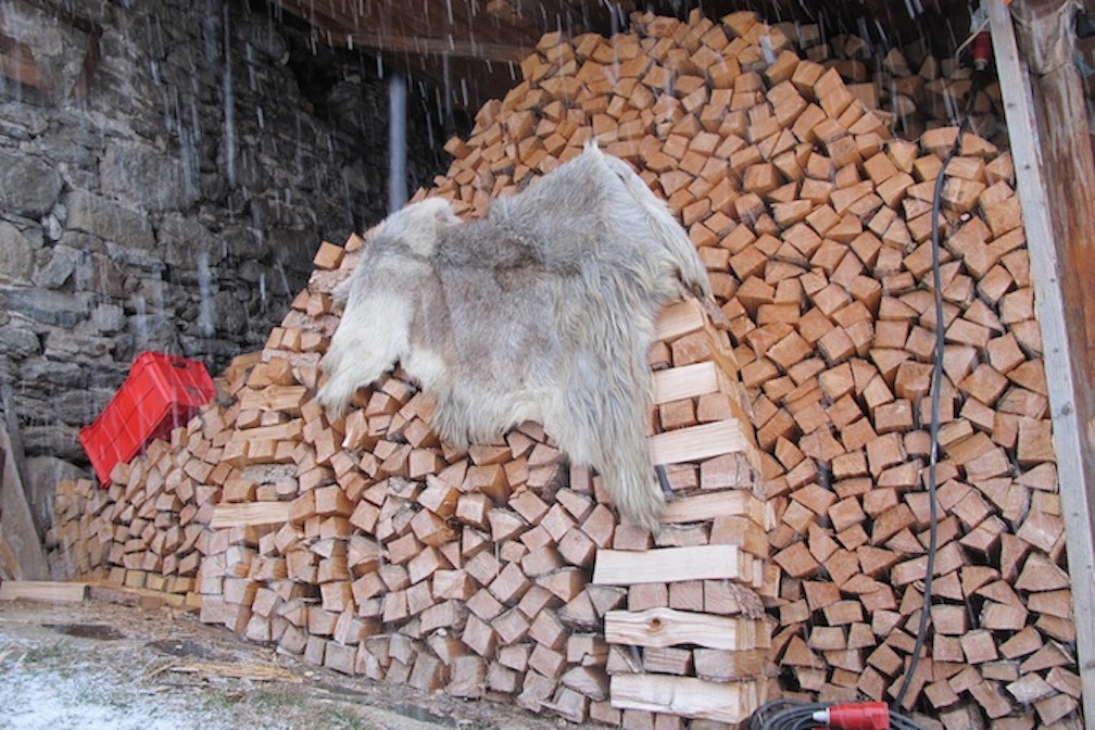 Åbäke, BAU is being dressed up and if it takes the sheep to get naked so be it, 2015