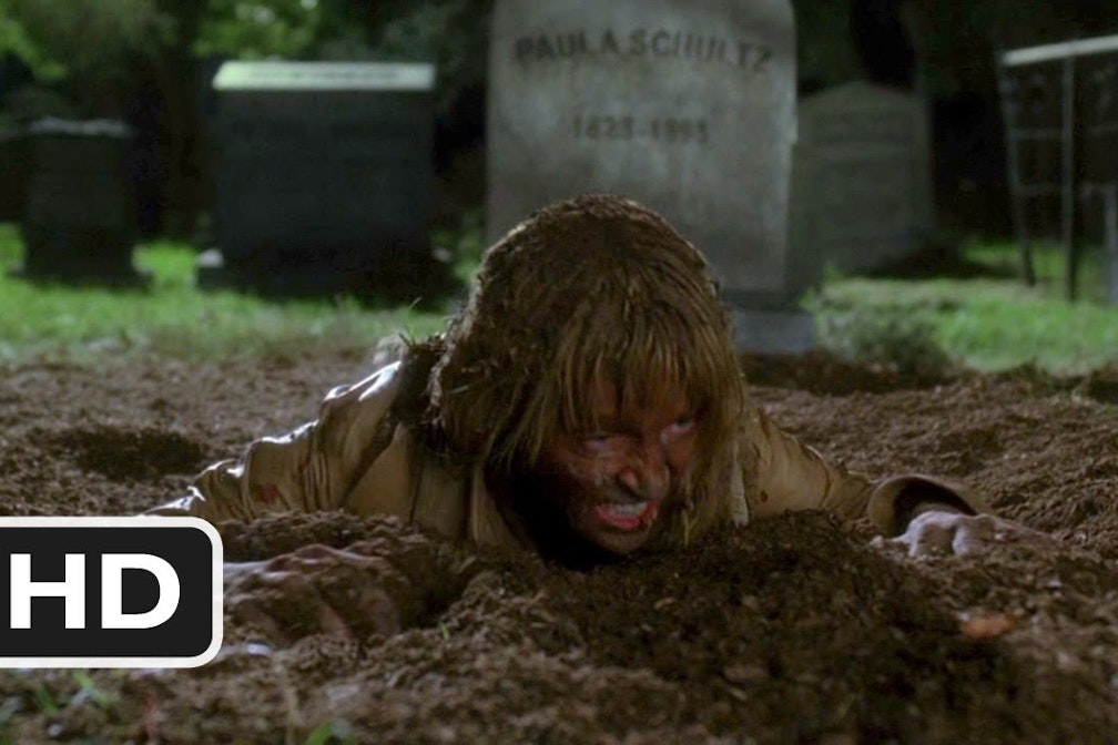 Von der Kunst, im System mit System lebendig begraben zu werden