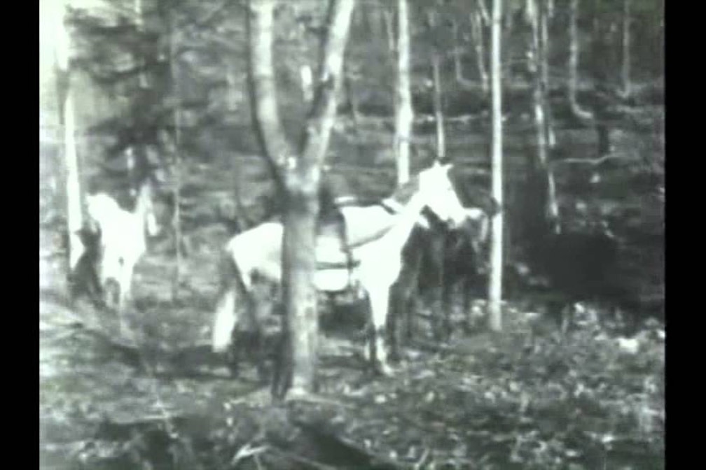 Rimusicazioni Film Festival 2014: The great train robbery – Michael Wedenig