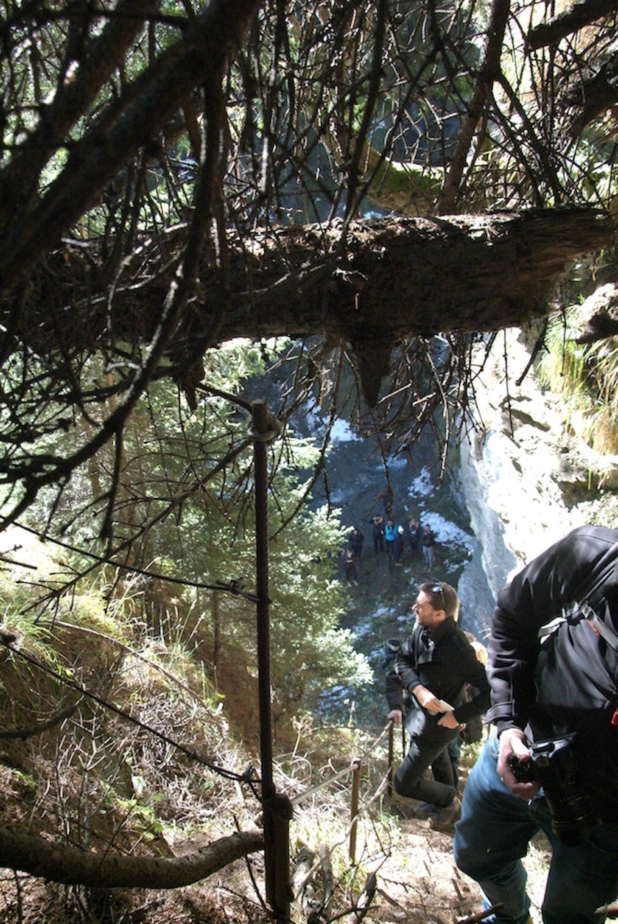 Deconstructing Brenner_o (c) Paul Rajakovics