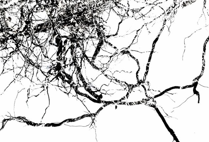 Premierentage 2014 © Ursula Groser