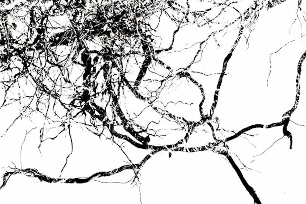 Premierentage 2014 © Ursula Groser