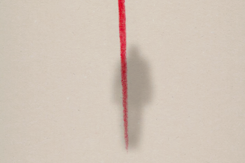 MUT artecoraggio – zebra - oew