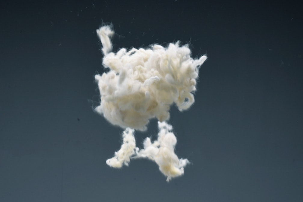 feral_wool_1 (c) Feral Wool