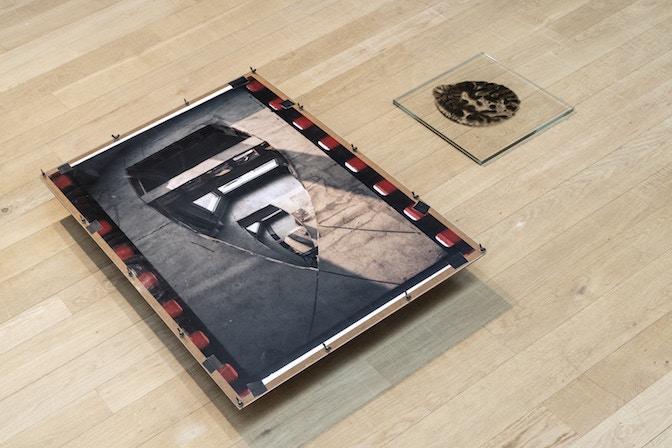Fonfazione Dalle Nogare, Installation View, Willi the Cat