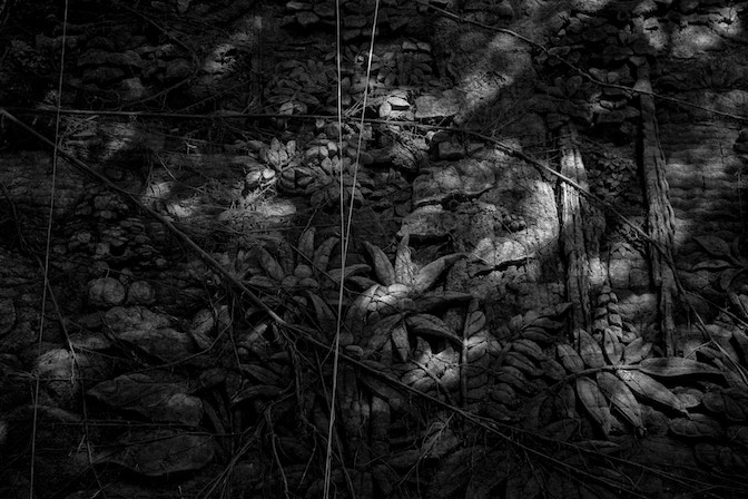 Wabi Sabi - Aalessandro Cristofoletti_1