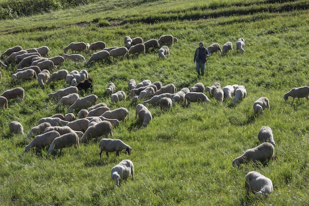 L’utilità dell’inutile_05. La strada lenta