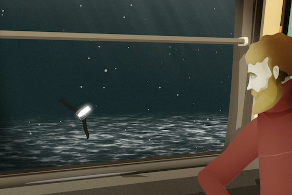 Trento Film Festival: il tuo sentiero nel bosco