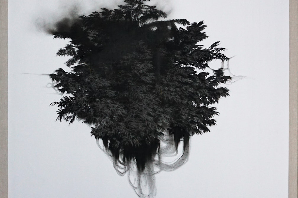 The primacy of perception. Un altro paesaggio in mostra a Sella Giudicarie