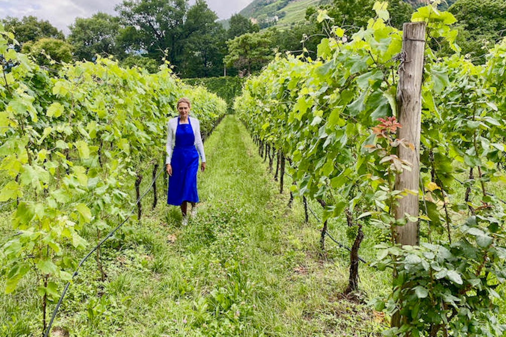 Qollezione – Wie aus Tiroler Mirabilien coole und tragbare Kleidungsstücke werden