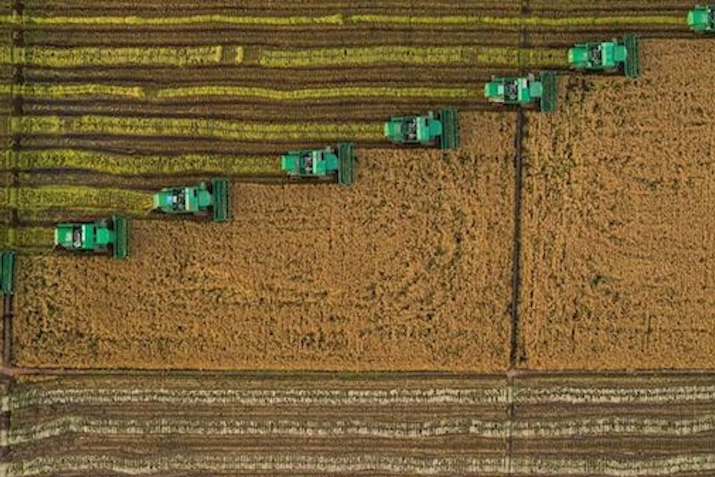 L’utilità dell’inutile_01. È così perchè è così