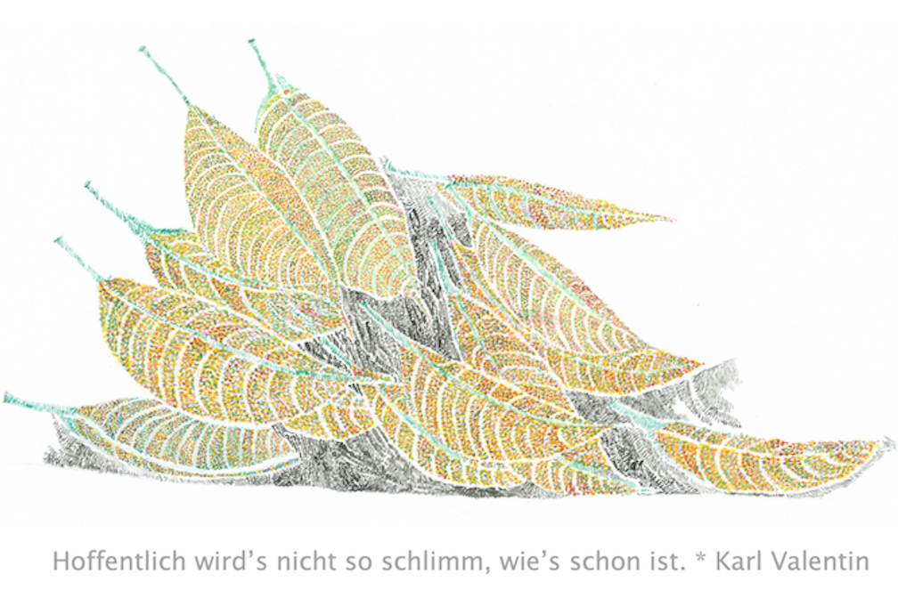 Gabriela Oberkofler KV 15