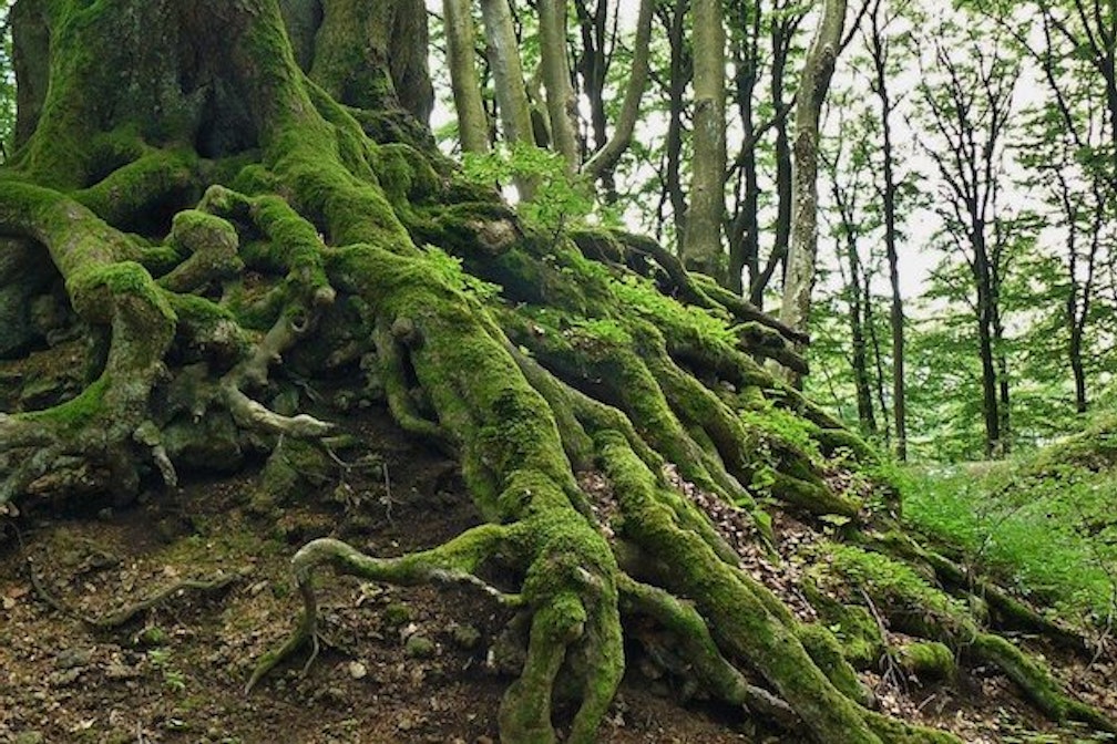 I racconti delle balie #02