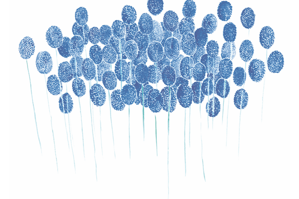 Gabriela Oberkofler Traubenhyazinthen 14