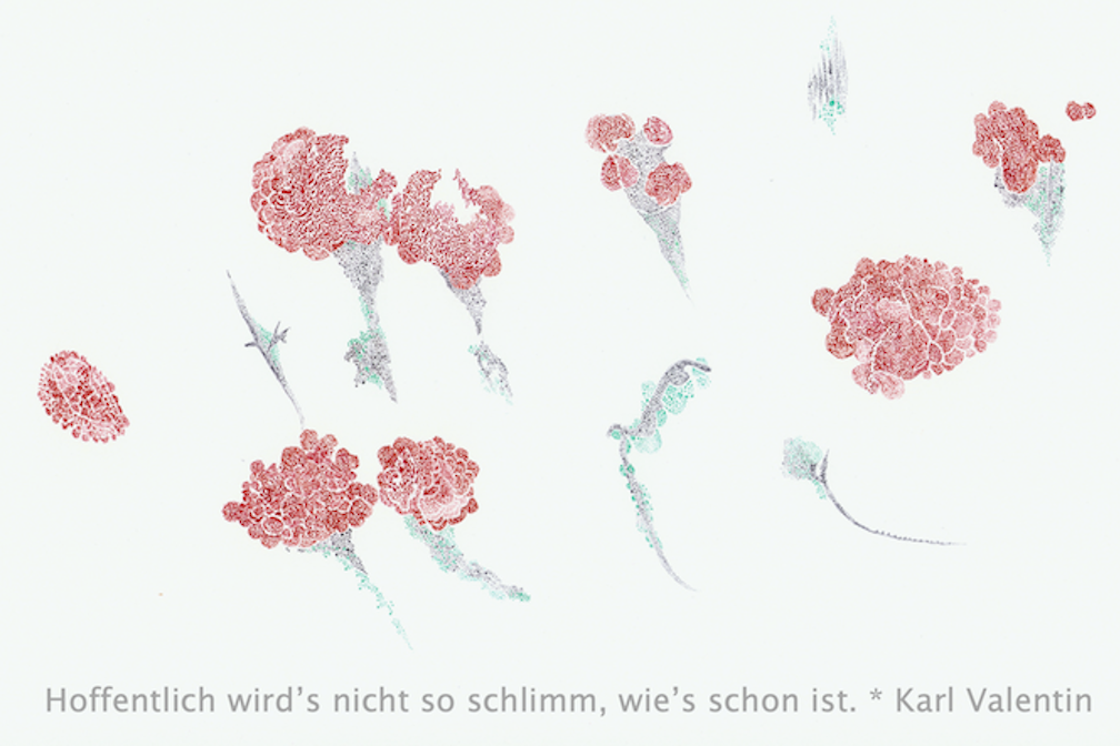 Gabriela Oberkofler Pilze_und_Flechten KV 11