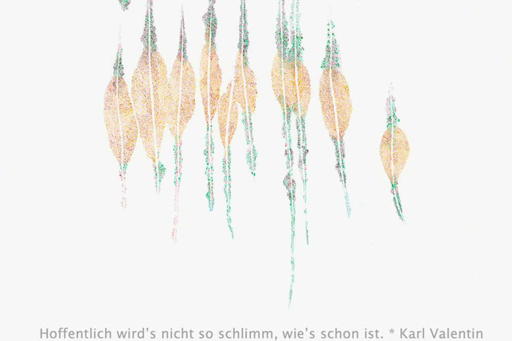 Gabriela Oberkofler Pilze_und_Flechten KV 10