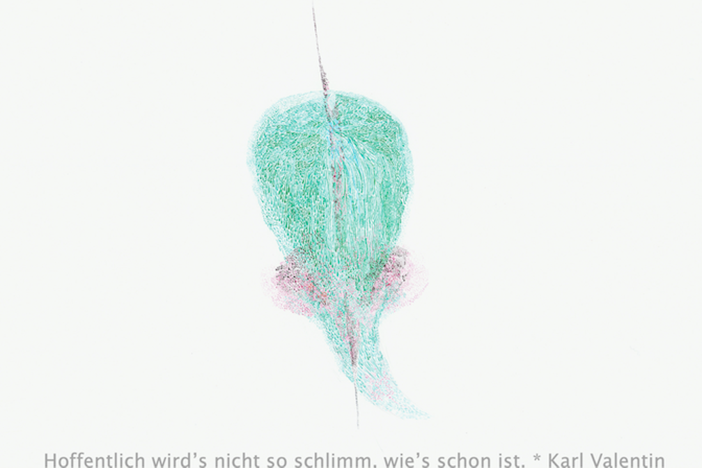 Gabriela Oberkofler Pilze_und_Flechten KV 08