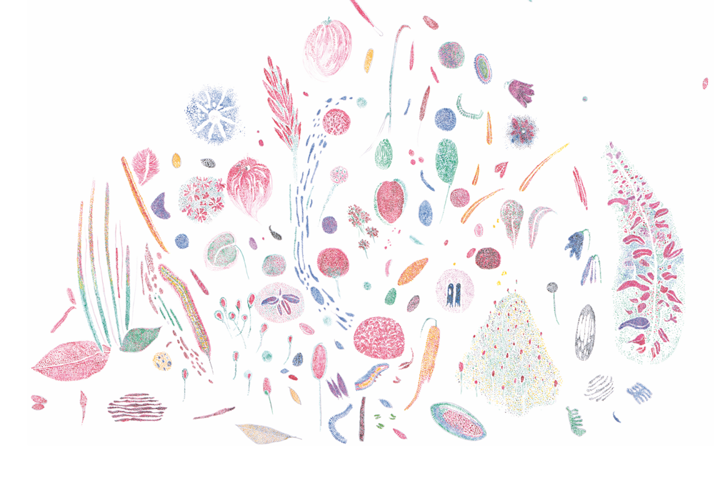 Gabriela Oberkofler Hybride KV 06