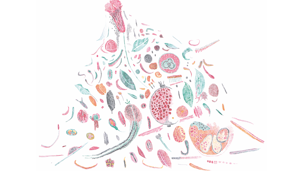 Hybride Gabriela Oberkofler 02 KV