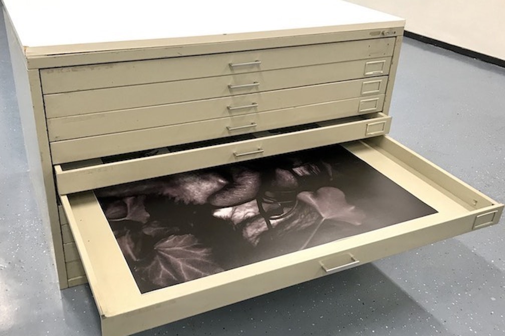 GOG Uni Bz (c) Claudia Gelati franzmagazine IMG_1246