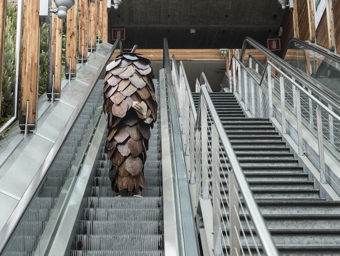 Ingela Ihrman, The Wandering Spruce, 2015