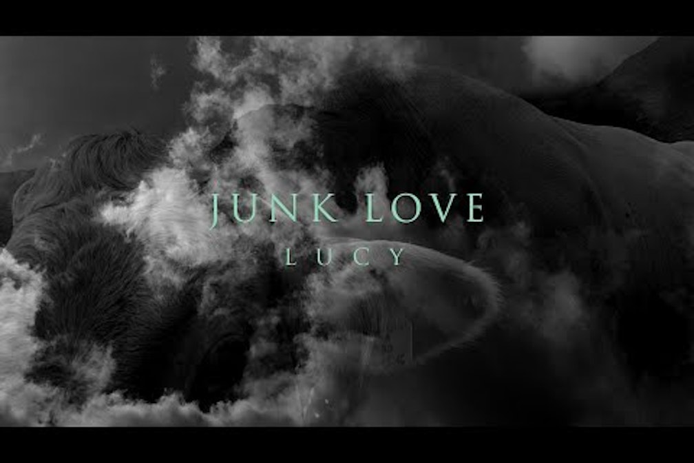 Der die das Neue von Junk Love: Lucy