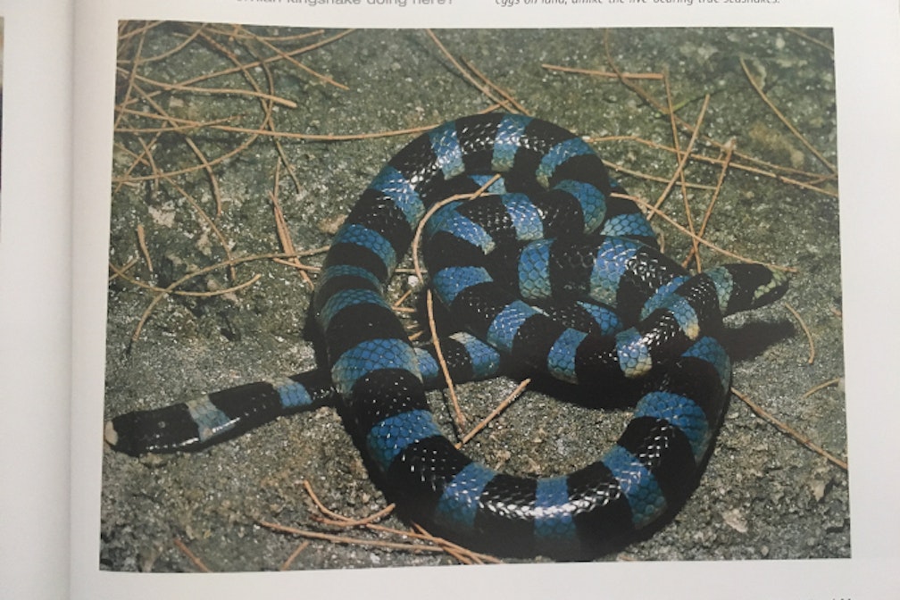 Ciliegie: parole d’autore con Sven Sachsalber